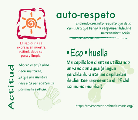 green-card-auto-respeto  