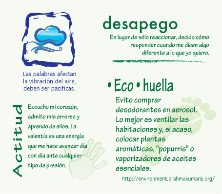 green-card-desapego  