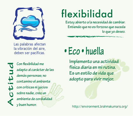 green-card-flexibilidad  