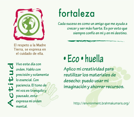 green-card-fortaleza  