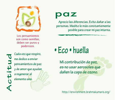 green-card-paz  