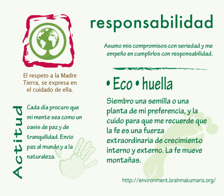 green-card-responsabilidad  